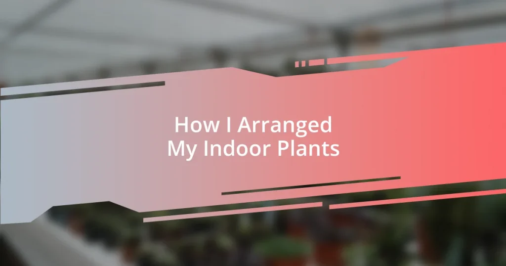 How I Arranged My Indoor Plants