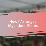 How I Arranged My Indoor Plants