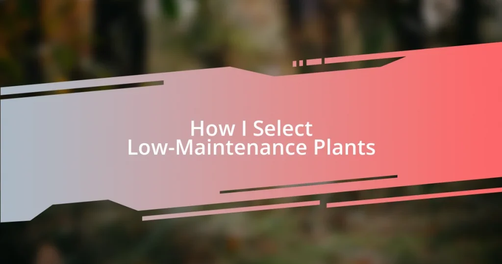 How I Select Low-Maintenance Plants