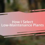 How I Select Low-Maintenance Plants