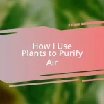 How I Use Plants to Purify Air