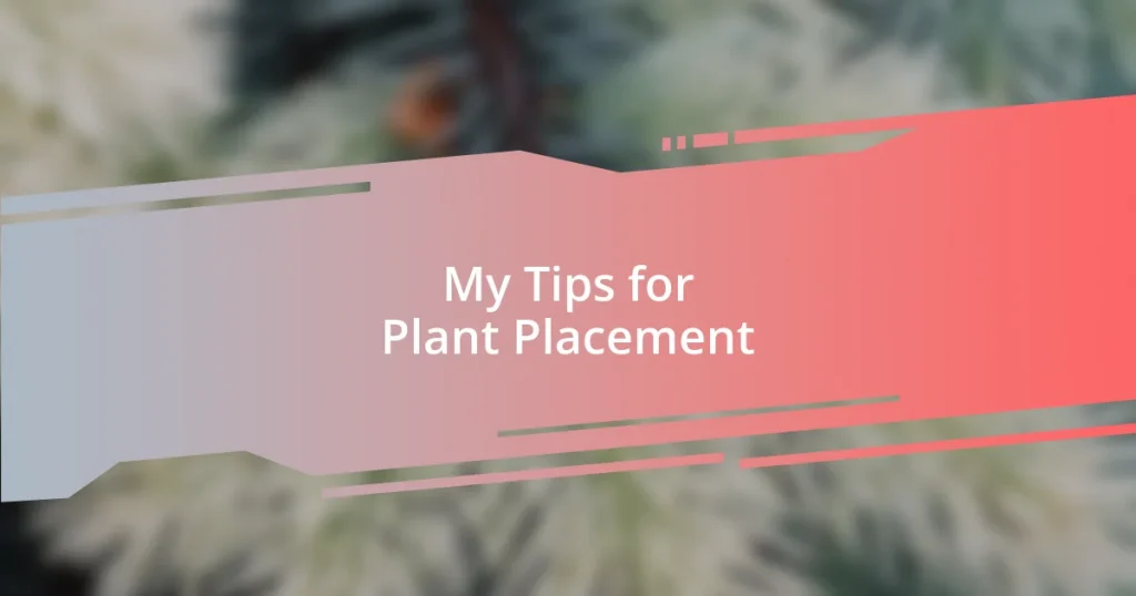 My Tips for Plant Placement