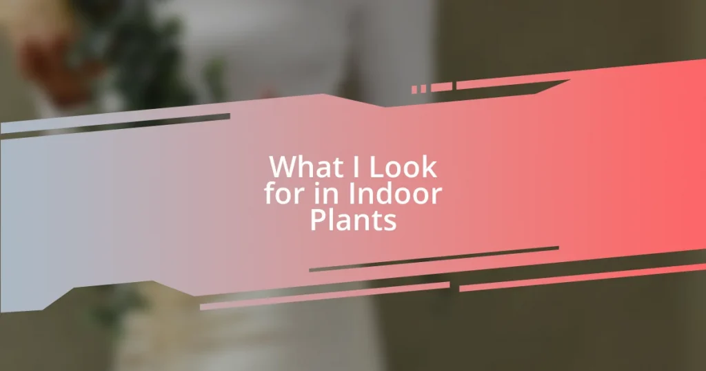 What I Look for in Indoor Plants